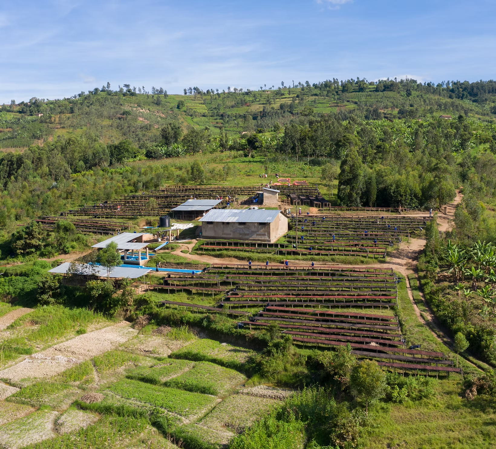 Fugi Washed — Baho Coffee